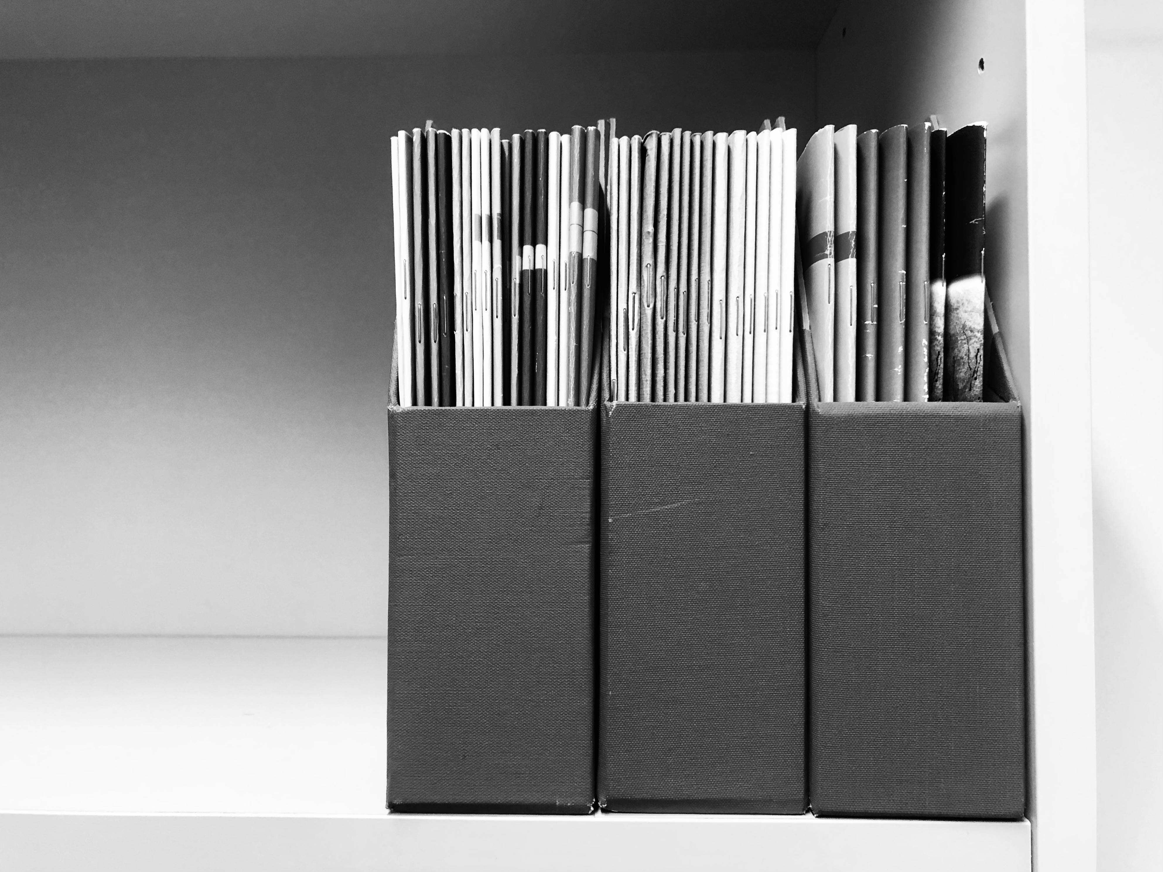 Forty Years of Human Rights at Åbo Akademi University: From Foundations to Future